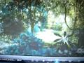 Alice In Wonderland Movie Trailer Tim Burton Johnny Depp