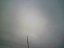 Honker over Santa Rosa 2