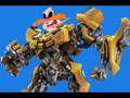 videos de THIS VIDEO CONTAINS BUMBLEBEE