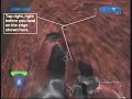 Halo 2 Coagulation Out Of Map Halo 2 Coagulation Out Of Map