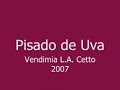 Pisado de Uva
