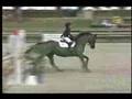 Wilton Porter & Benvolio First Round National Horse Show