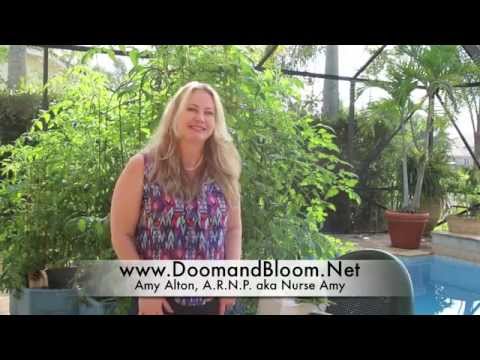 how to fertilize tomatoes in pots