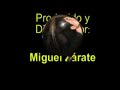 Guitarra Clásica Mexicana  III Salvatierra Gto