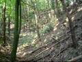 crossbow shooting