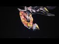 Red Bull X-Fighters World Tour 2011 - Season Review