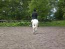 Malene & Flicka - dressage