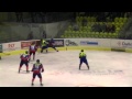 HC ZUBR Přerov - HC Nový Jičín  3:4 pp