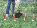 rabbit agility