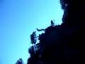 videos de virgule