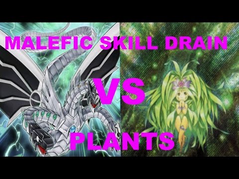 how to drain plants