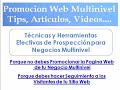Tecnicas Promocion Web Negocios Multinivel
