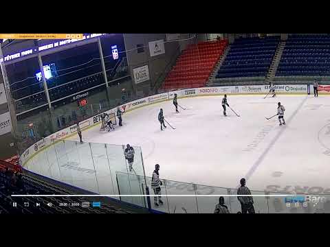 19 fevrier 2025 Faucons de l'académie Ste-Therese