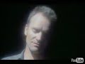 Fields of Gold - stng