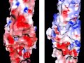Electrostatics and Protein Folding Electrostatics and Protein Folding