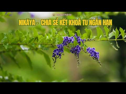 NIKAYA - Chia Sẻ Kết Khoá Tu Ngắn Hạn