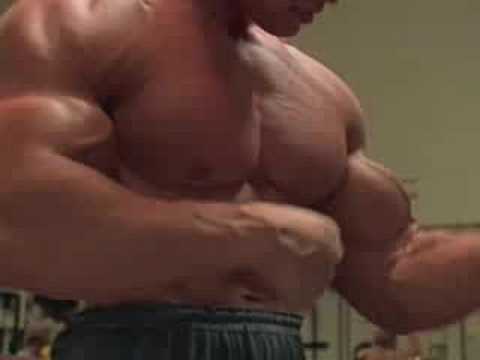 arnold schwarzenegger bodybuilding back. Body Building - arnold