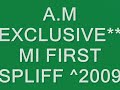 MI FIRST SPLIFF 2009