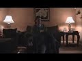 Vacuuming Caesar Vacuuming Caesar