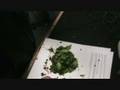 videos de Lettuce Fun Time with THE MORNING MAD HOUSE 102.5 KDON