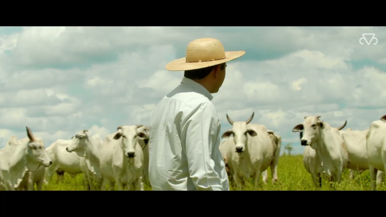 91ª EXPOZEBU - GLOBAL: PORQUE É FEITA POR TODOS