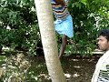 MOV01420