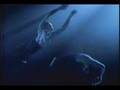 Sarah McLachlan-The Path of Thorns (Terms)