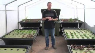 Grow your own Organic Food with Aquaponics