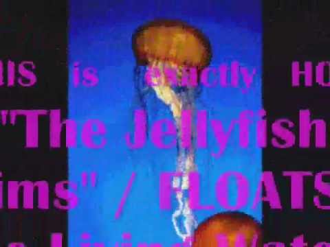 skeletal renewal - The LIVING Waters ~ AntiGravity = AntiPain = AntiAgeing ~ MAGNETIC Antigravity DEcompression Therapy EXPANSIVE MAGNETIC Antigravity CRANIAL/Neuro/Musculo/S...