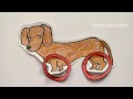 How To Dress Your Dog According To His Body Type