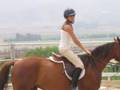 riding horses