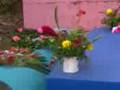 videos de HOLAncho.com dia de muertos en catacamas