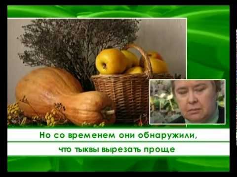 YouTube Трейлер