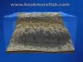 Fishing Show: Trout fishing techniques - Angler\