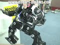 HPI G-ROBOTS GR-001 Humanoid Robot