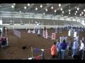 Zip Ex FAST Pensacola Agility Trial 1-2-09