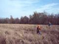 videos de pheasant hunting.mov