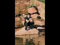 Zac Efron - Bet on it original remix.