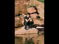 Zac Efron - Bet on it original remix.