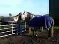 koekie en smoover