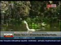 Berita ANTV monster Ancol dikutip dari kaskus
