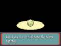 Dangers of the BadEgg