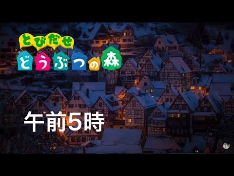 動画
