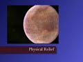 Physical Relief