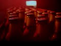 The life of a heineken beer bottle
