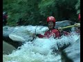 Orcas at Canolfan Tryweryn