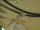 Magnet motor and whimhurst machine Part2