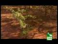Aslanlar Animal Planet  belgeseli video.