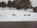 NO HANDER ON YAMAHA WARRIOR NO HANDER ON YAMAHA WARRIOR