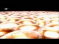 Video anschauen Video anschauen